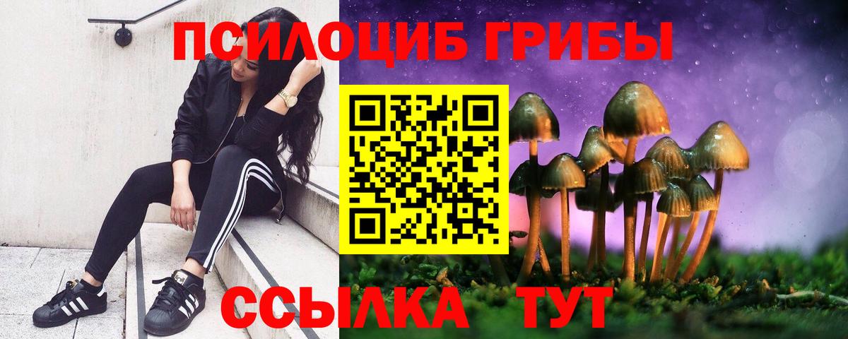 Галлюциногенные грибы Magic Shrooms  Галлюциногенные грибы MAGIC MUSHROOMS  Вход с VPN  Вышний Волочёк 
